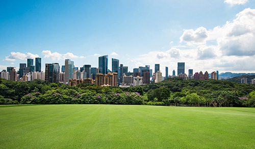土壤重金属修复 土壤重金属修复